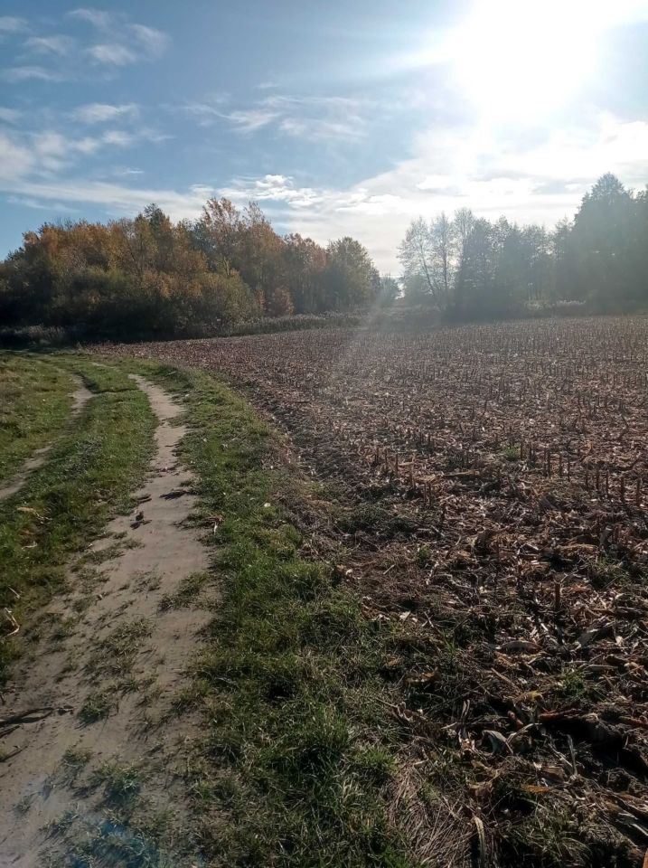 Działka rolna Krościna Wielka. Zdjęcie 3