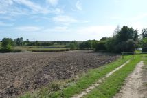 Działka rolna Zieleniewo. Zdjęcie 3