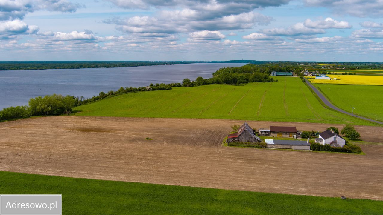gospodarstwo, 3 pokoje Bachorzewo. Zdjęcie 14