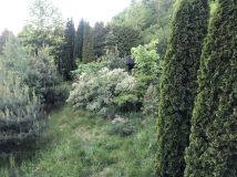 Działka budowlana Rumia, ul. Młyńska. Zdjęcie 4