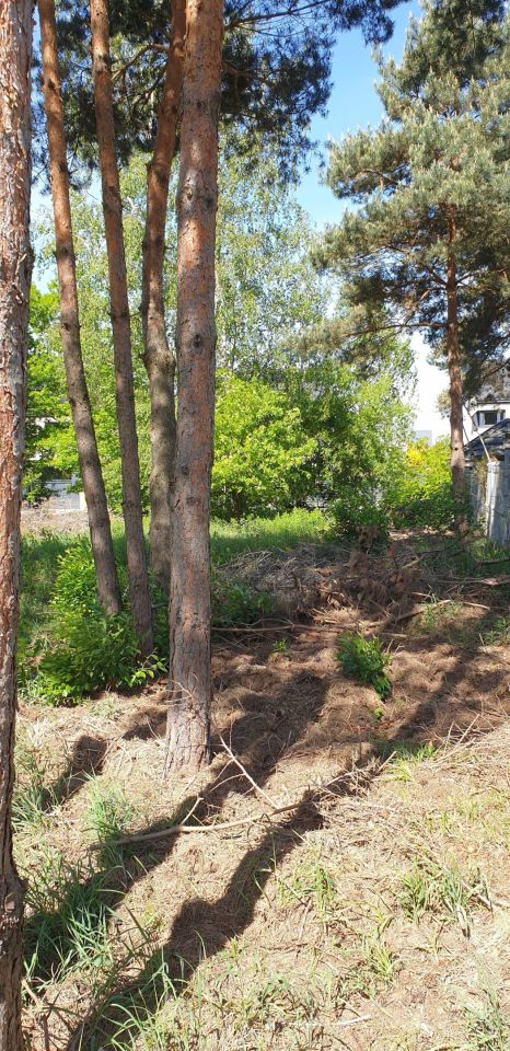 Działka budowlana Jabłonna, ul. Leśna. Zdjęcie 2