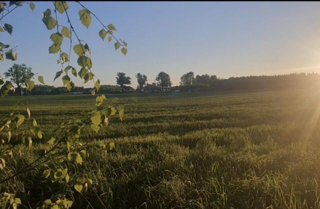 Działka budowlana Dobrzewino, ul. Dębowa. Zdjęcie 1