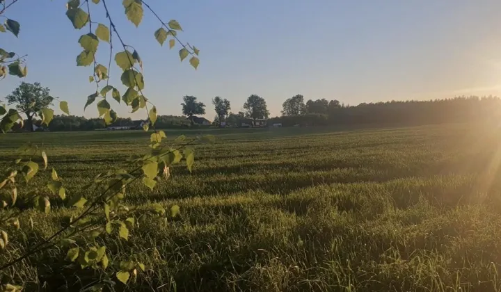 Działka budowlana Dobrzewino, ul. Dębowa
