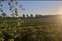 Działka budowlana Dobrzewino, ul. Dębowa