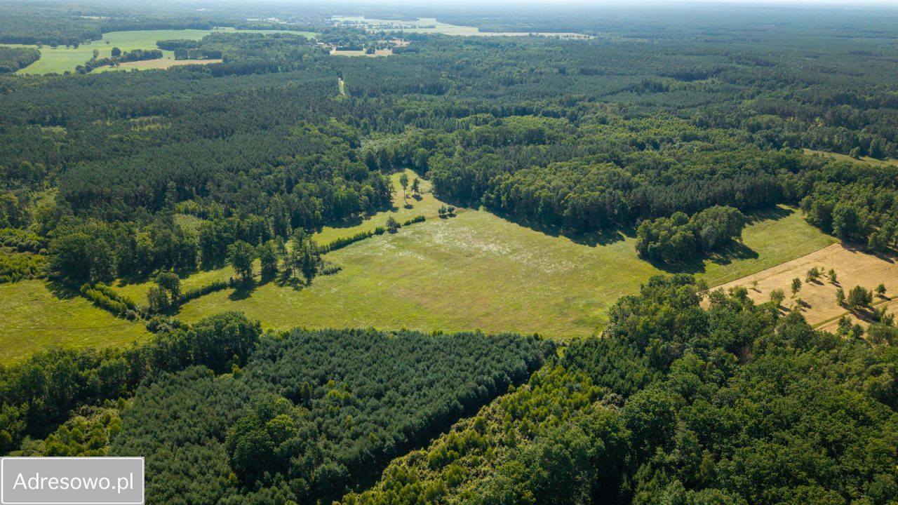 Działka rolna Dobrochów. Zdjęcie 6