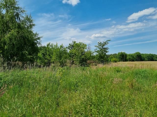 Działka budowlana Zaborówek. Zdjęcie 1