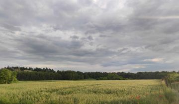 Działka budowlana Stary Rachów