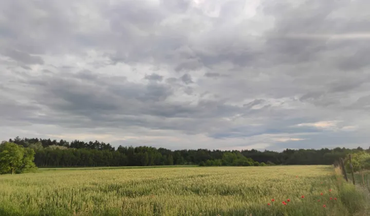 Działka budowlana Stary Rachów