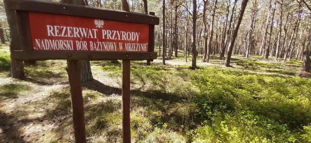 Mieszkanie 2-pokojowe Mrzeżyno, ul. Słoneczna. Zdjęcie 12