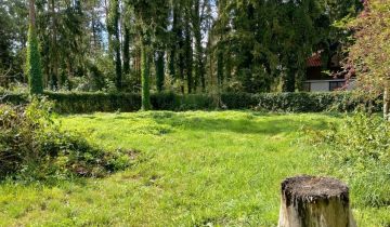 Działka budowlana Żółwin