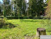 Działka budowlana Żółwin. Zdjęcie 1