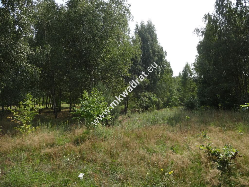 Działka budowlana Ojrzanów. Zdjęcie 3