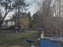 Działka rod Ząbki, ul. Klamrowa. Zdjęcie 4