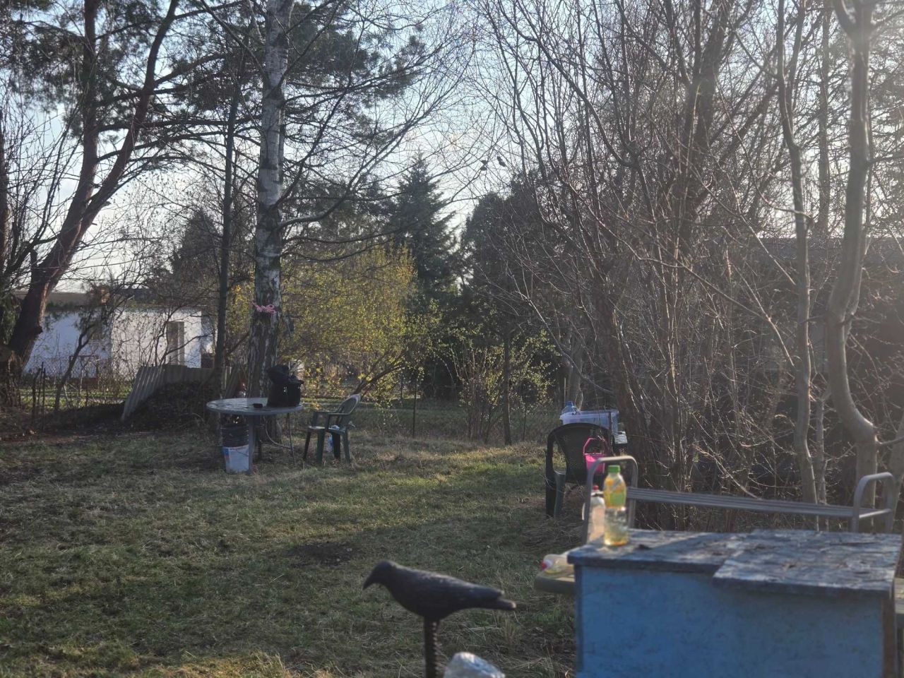 Działka rod Ząbki, ul. Klamrowa. Zdjęcie 5