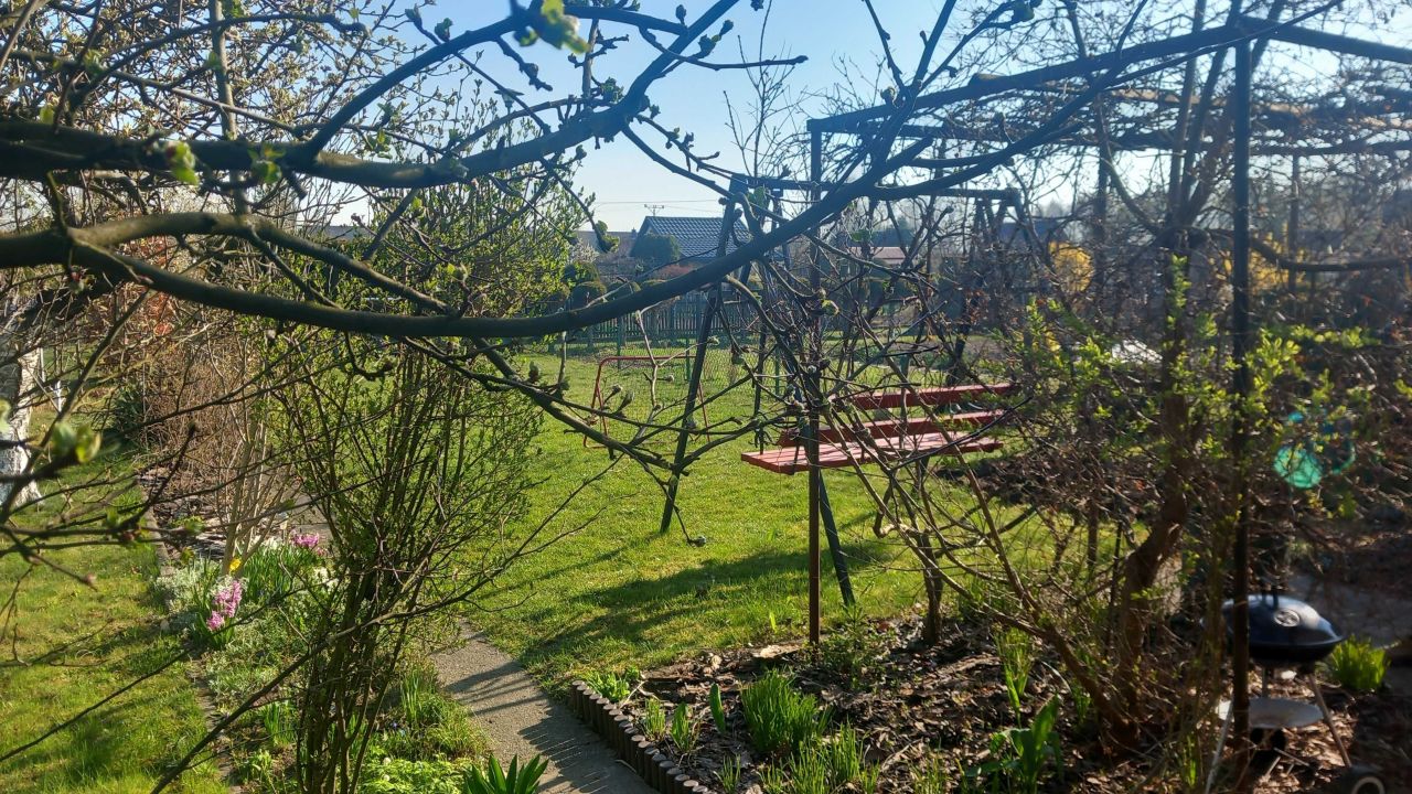 Działka rod Mielec. Zdjęcie 6