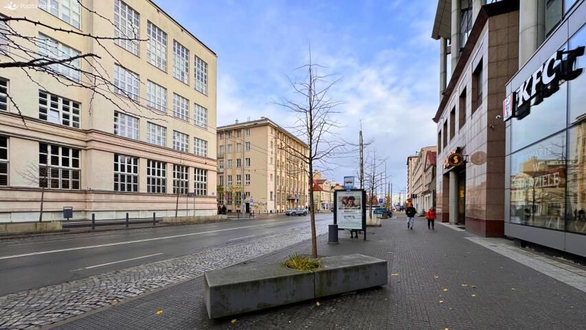 Lokal Gdynia, ul. 10 Lutego. Zdjęcie 4