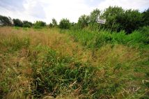 Działka rolna Renice. Zdjęcie 4