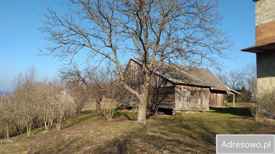 gospodarstwo Turza. Zdjęcie 4