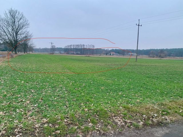 Działka rolno-budowlana Leontynów. Zdjęcie 1