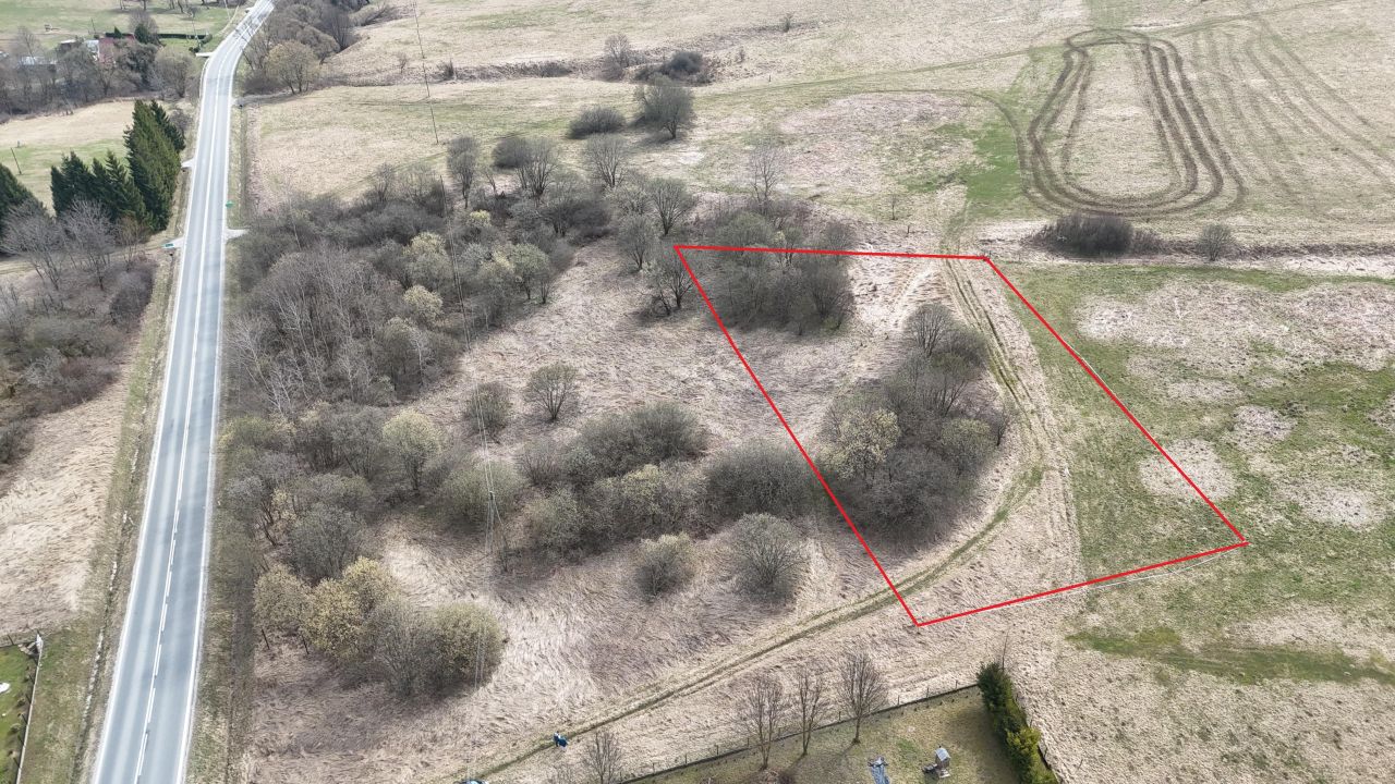 Działka inna Liskowate