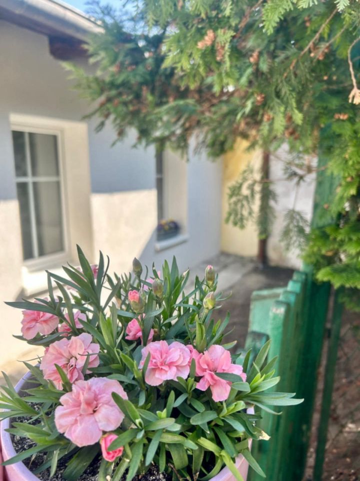 Mieszkanie 2-pokojowe Bydgoszcz Bocianowo, ul. Henryka Sienkiewicza. Zdjęcie 9