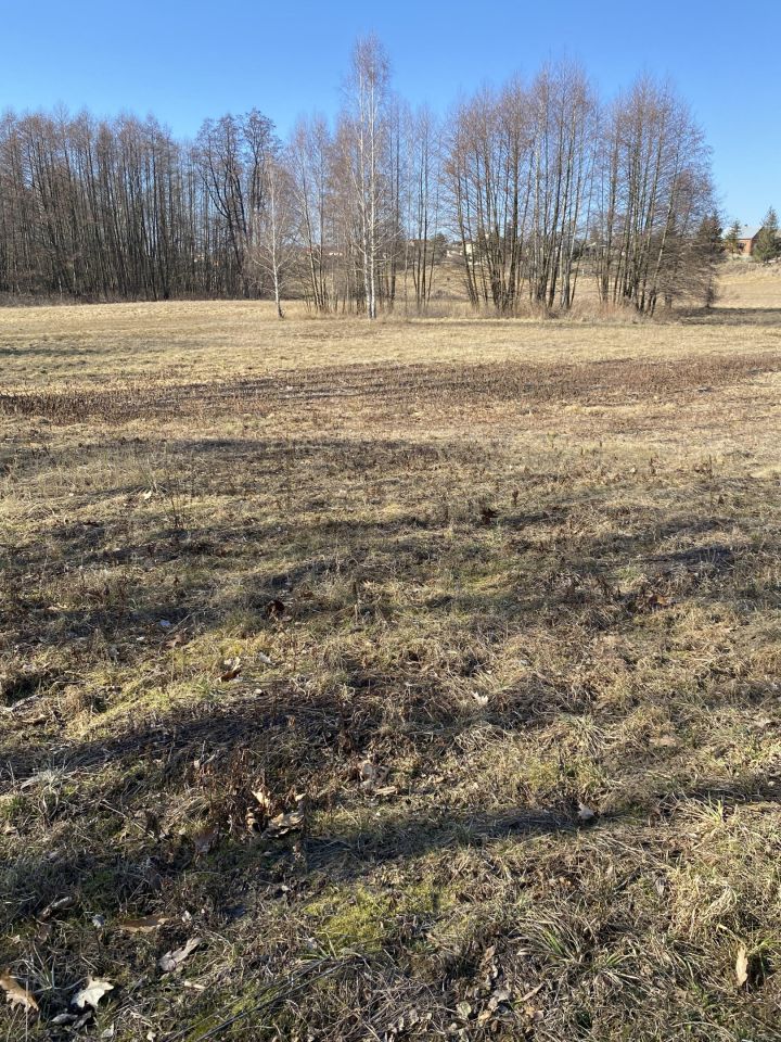 Działka budowlana Piwoda. Zdjęcie 5