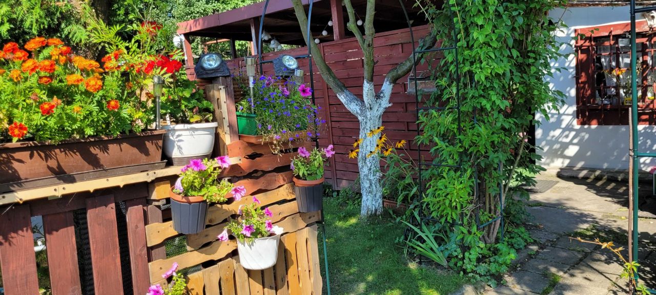 Działka rod Ruda Śląska Kochłowice, ul. ks. Ludwika Tunkla. Zdjęcie 6