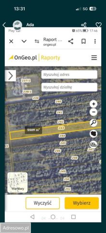 Działka rolna Sadek Duży Sadek. Zdjęcie 1