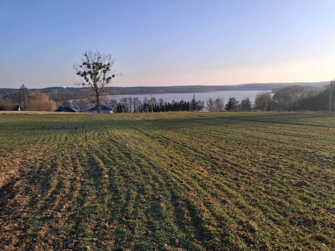 Działka rolno-budowlana Żałe. Zdjęcie 6