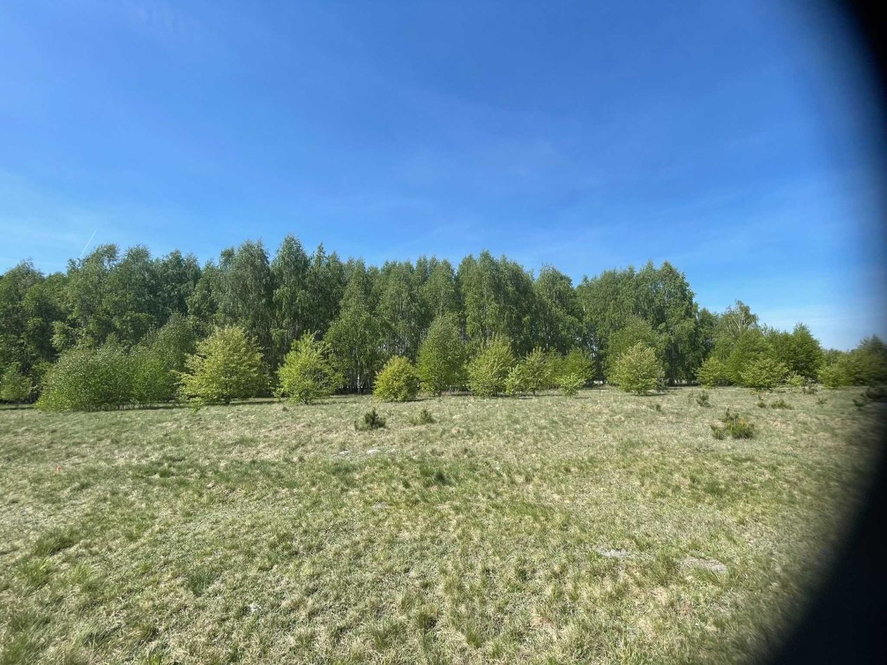 Działka budowlana Teresin. Zdjęcie 6