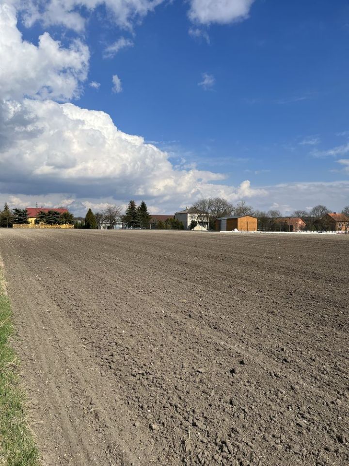 Działka budowlana Gacki. Zdjęcie 5