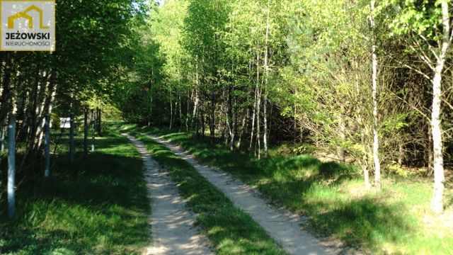 Działka rolna Nowosiółki. Zdjęcie 7