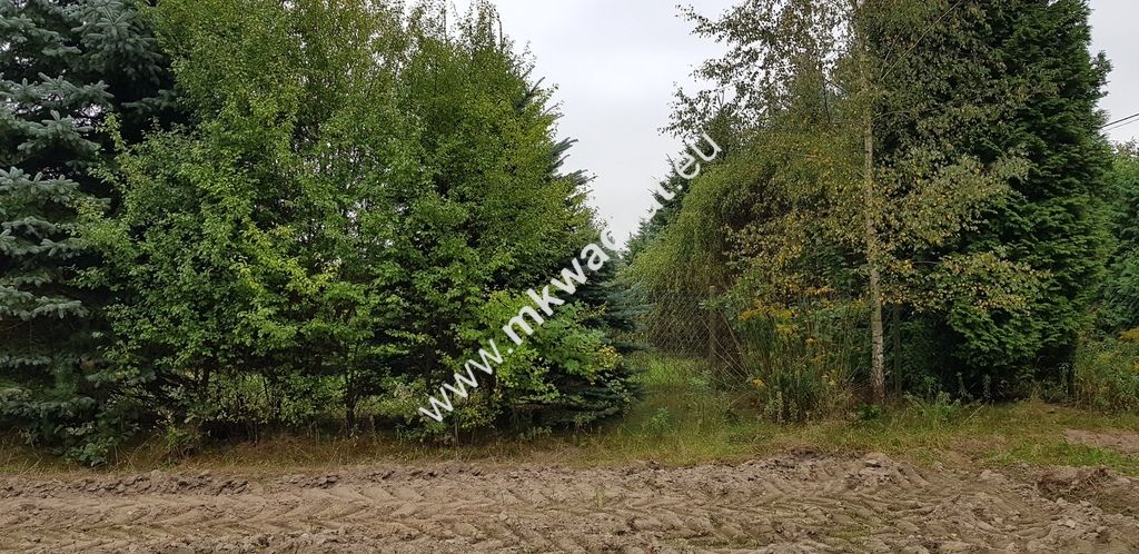 Działka Budy Wolskie. Zdjęcie 7