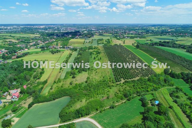 Działka budowlana Ostrowiec Świętokrzyski Częstocice. Zdjęcie 5