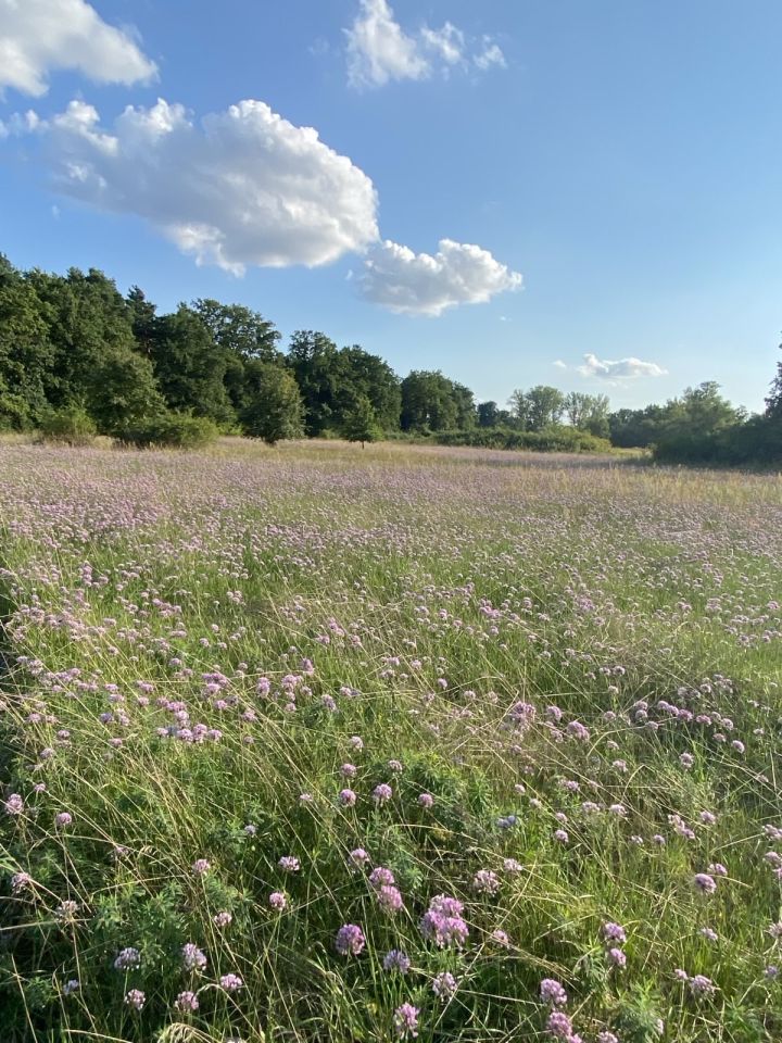 Działka budowlana Mniszew. Zdjęcie 5
