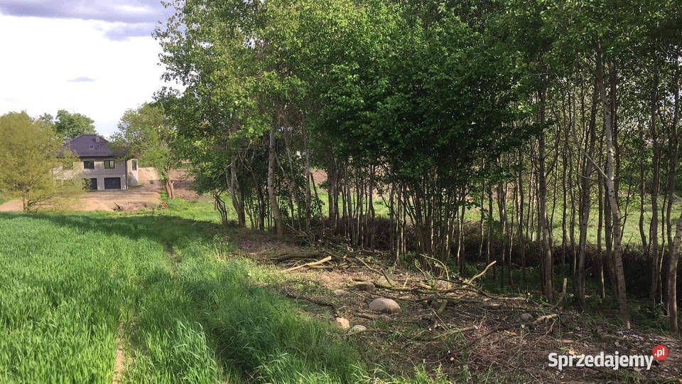 Działka rolno-budowlana Wójtostwo