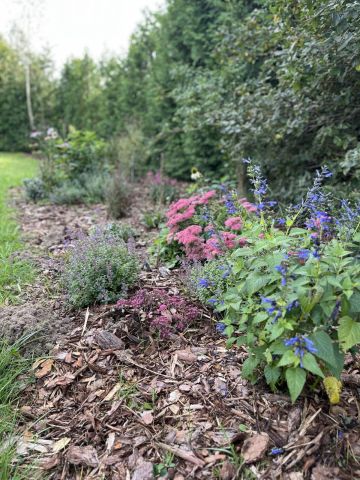 Działka budowlana Osowo Leśne Skowronek, os. Letnisko II. Zdjęcie 5