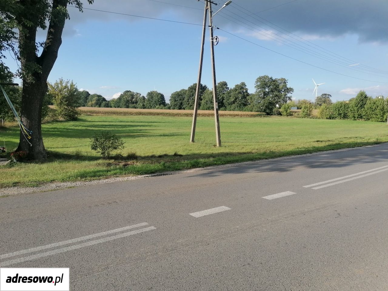 Zdjęcie 2