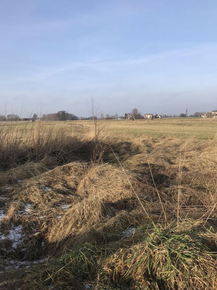 Działka budowlana Kalisz Lis, ul. Myśliwska. Zdjęcie 4