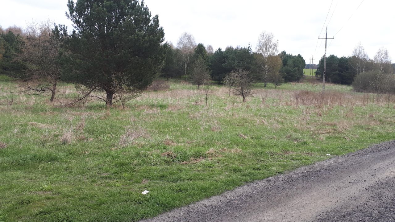 Działka rolna Trelkowo. Zdjęcie 3