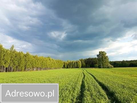 Działka rolna Łukówiec. Zdjęcie 2