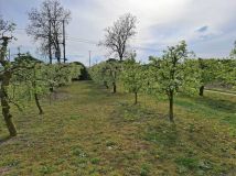 gospodarstwo Wąpielsk. Zdjęcie 2