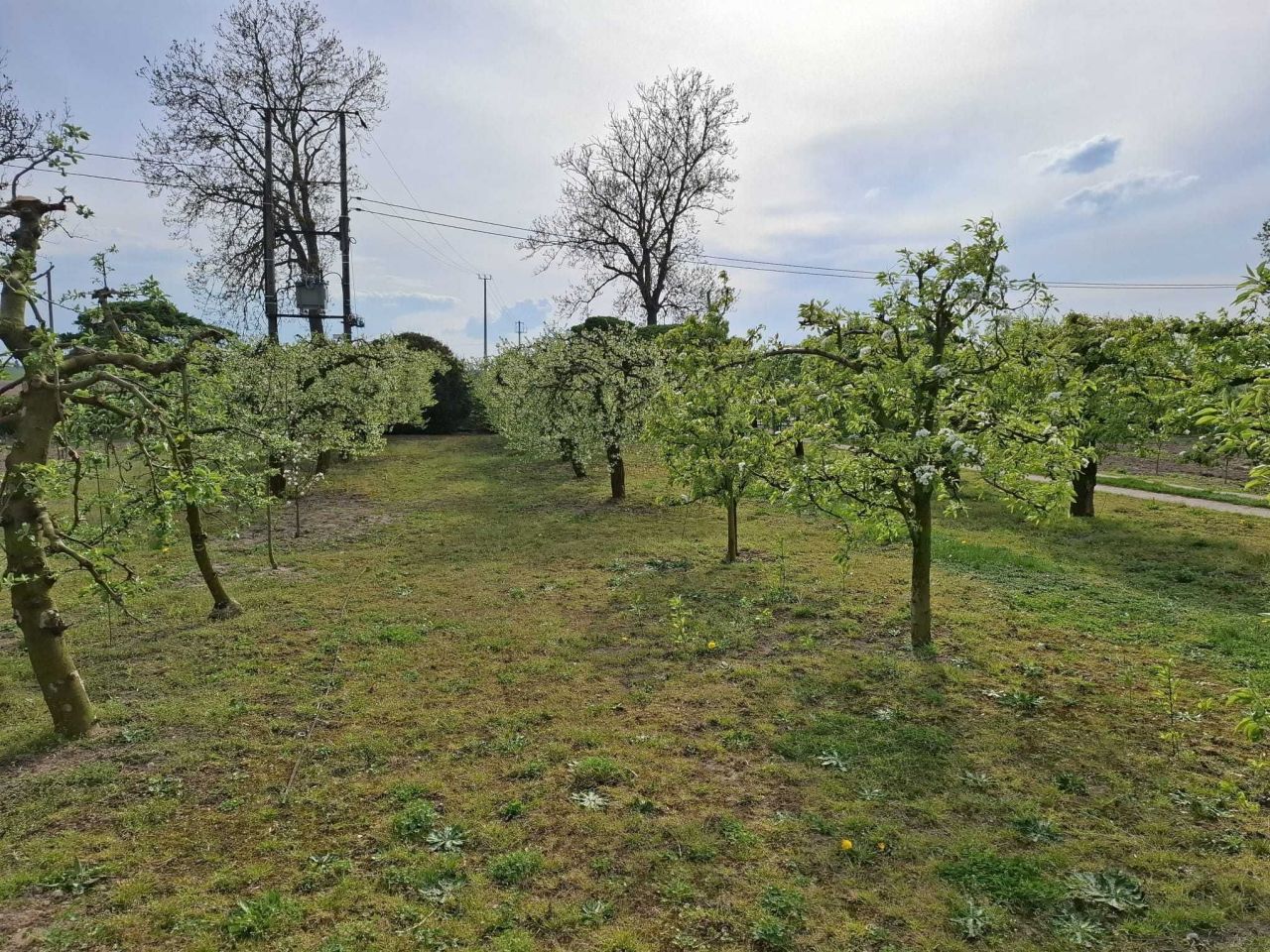 gospodarstwo Wąpielsk. Zdjęcie 3