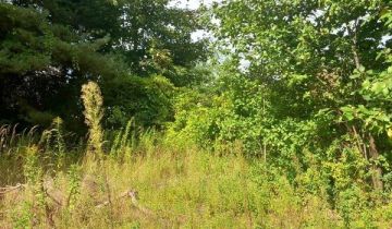 Działka budowlana Dobrzykowice, ul. Jesionowa