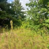 Działka budowlana Dobrzykowice, ul. Jesionowa. Zdjęcie 1