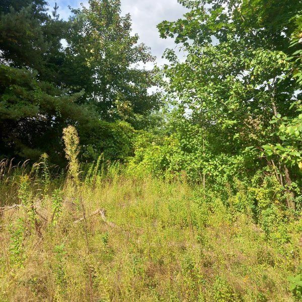 Działka budowlana Dobrzykowice, ul. Jesionowa. Zdjęcie 2