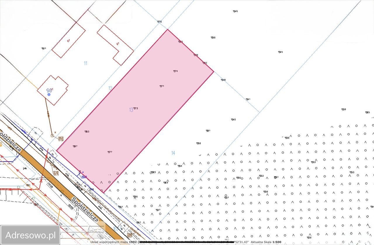 Działka leśna Janowiec, ul. Spółdzielcza. Zdjęcie 8