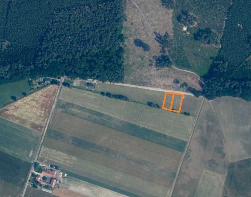Działka budowlana Jezierzyce Kościelne. Zdjęcie 5