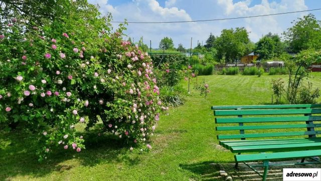 Działka rod Sanok, ul. Stróżowska. Zdjęcie 1