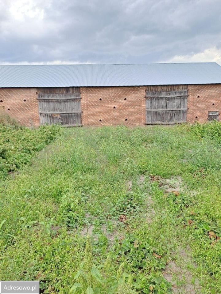 gospodarstwo, 4 pokoje Tarkawica. Zdjęcie 11